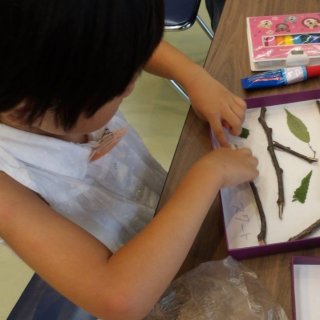 探してみつけろ！葉っぱ探偵団