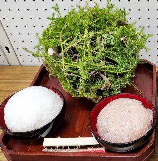 田原こどもねはんこ