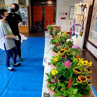 季節の彩り寄せ植え